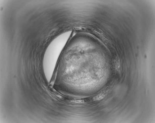 X0000087590711200705112303