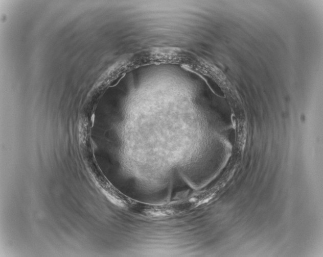 X0000087590712200705112303