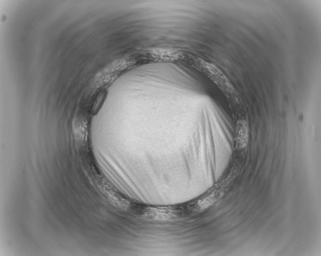 X0000087590713200705112303