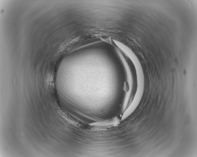 X0000087590714200705112303