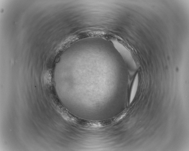 X0000087590715200705112303