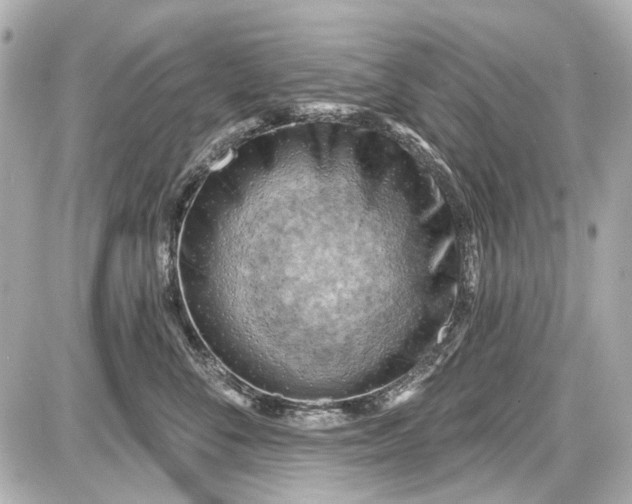 X0000087590716200705112303