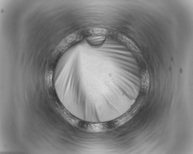 X0000087590717200705112303