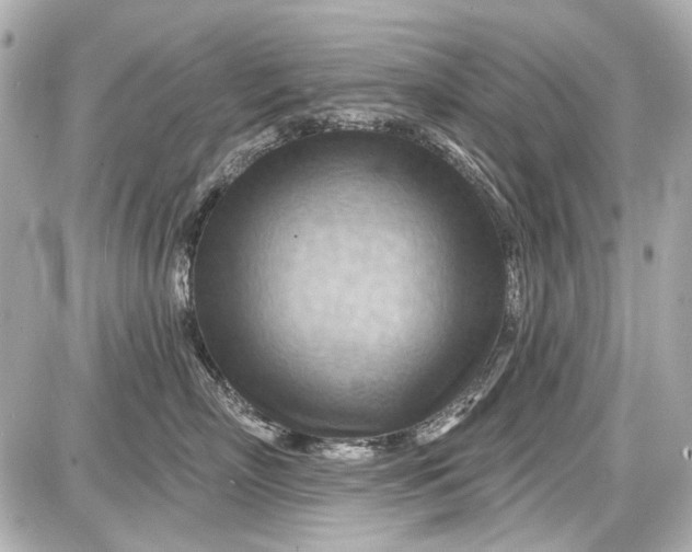 X0000087590718200705112303