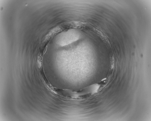 X0000087590719200705112303