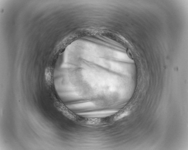 X0000087590720200705112303