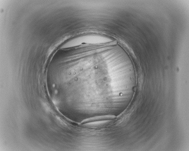 X0000087590721200705112302