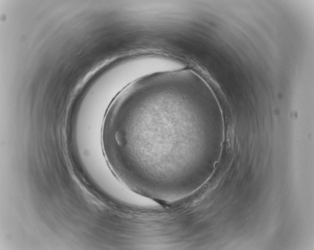 X0000087590722200705112302