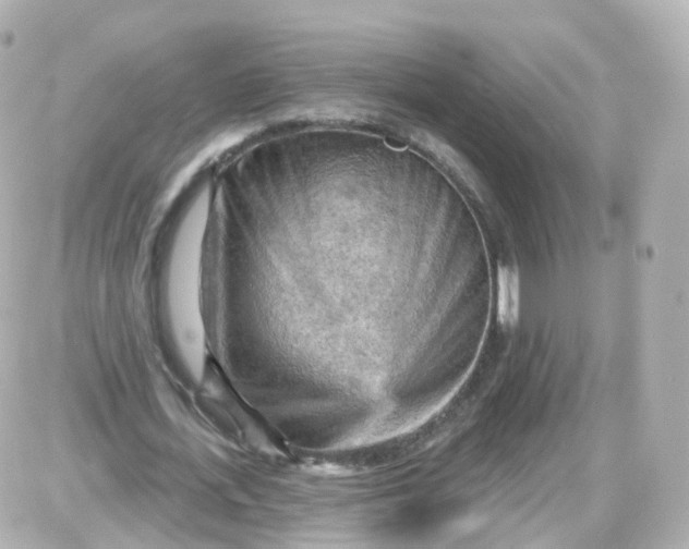 X0000087590723200705112302