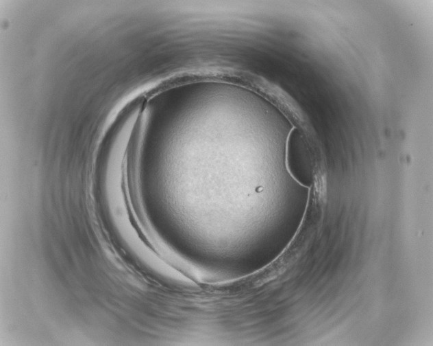 X0000087590724200705112302