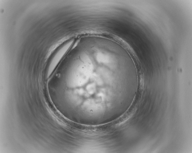 X0000087590725200705112302