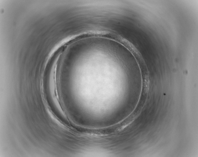 X0000087590726200705112302