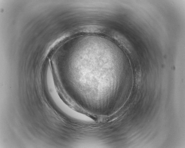 X0000087590727200705112302