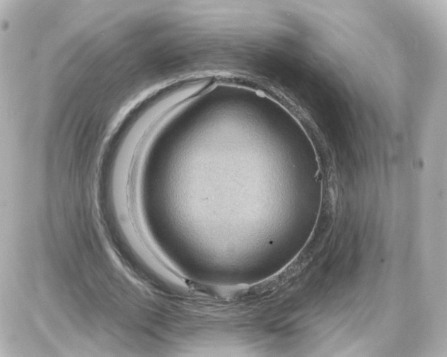 X0000087590728200705112302