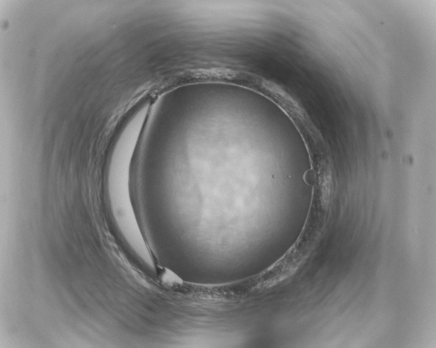 X0000087590729200705112302