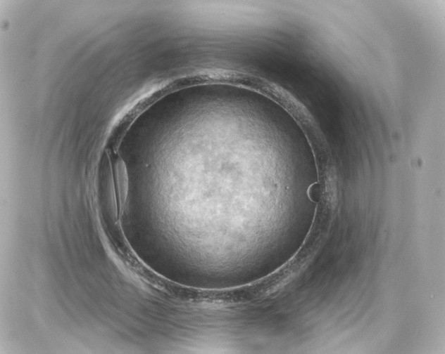 X0000087590730200705112302