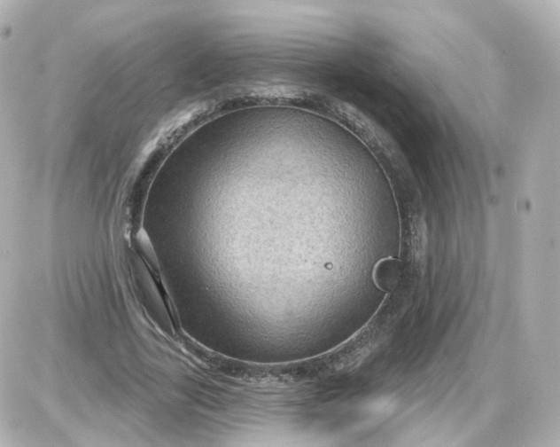 X0000087590731200705112302