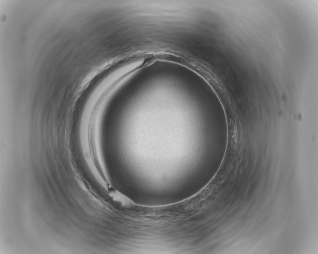 X0000087590732200705112302