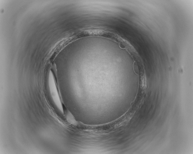 X0000087590733200705112302