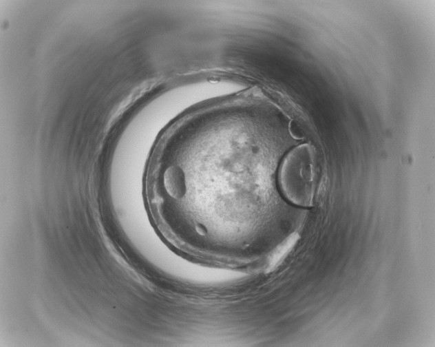 X0000087590734200705112302