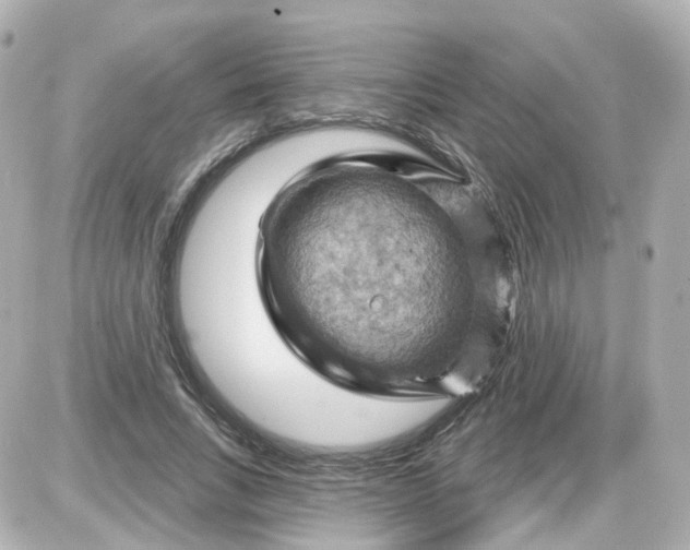 X0000087590735200705112302