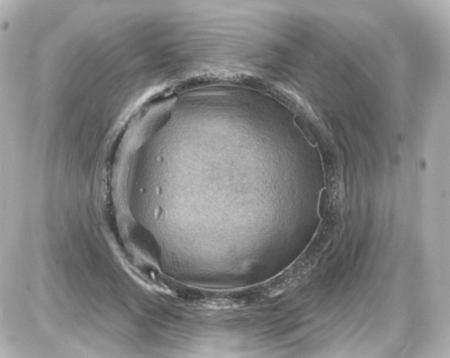 X0000087590736200705112302