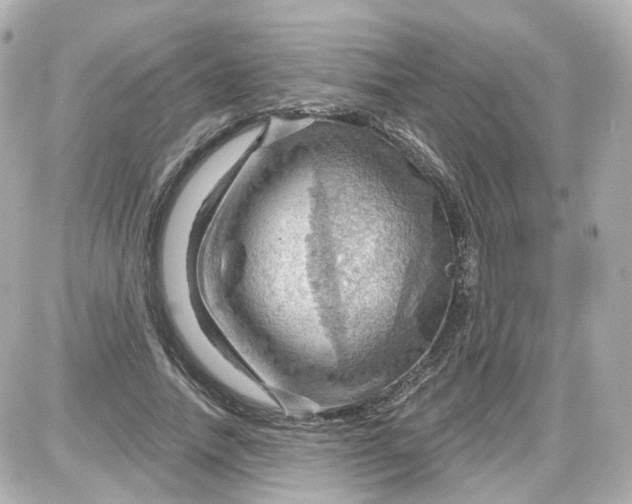 X0000087590738200705112302