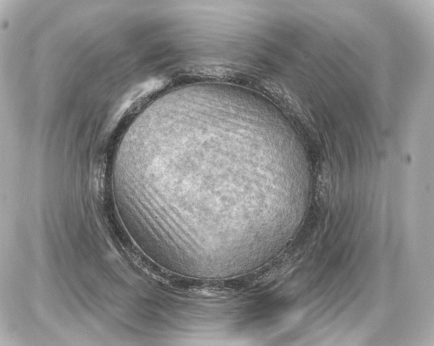 X0000087590739200705112302