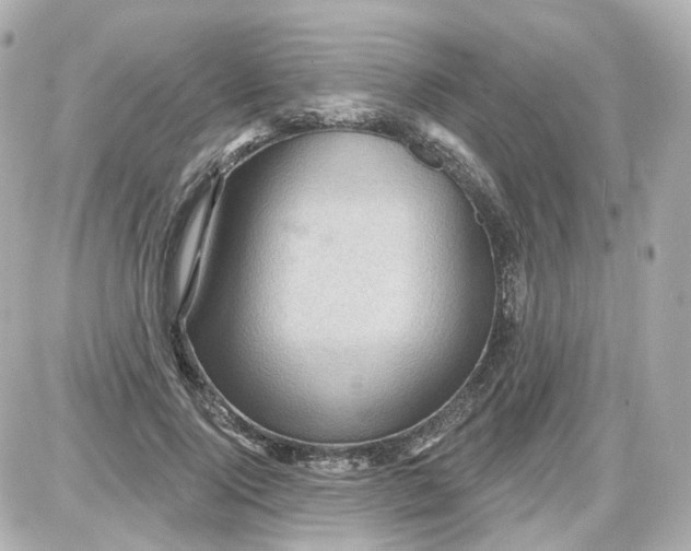 X0000087590740200705112302