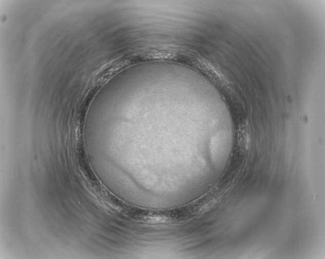 X0000087590741200705112303