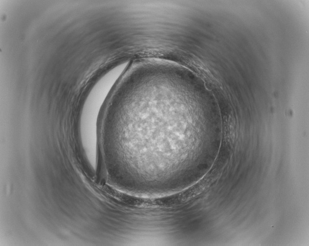 X0000087590742200705112303