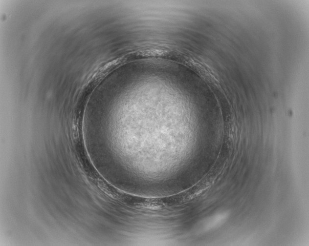 X0000087590743200705112303