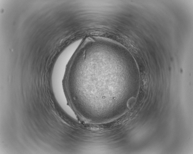 X0000087590745200705112303