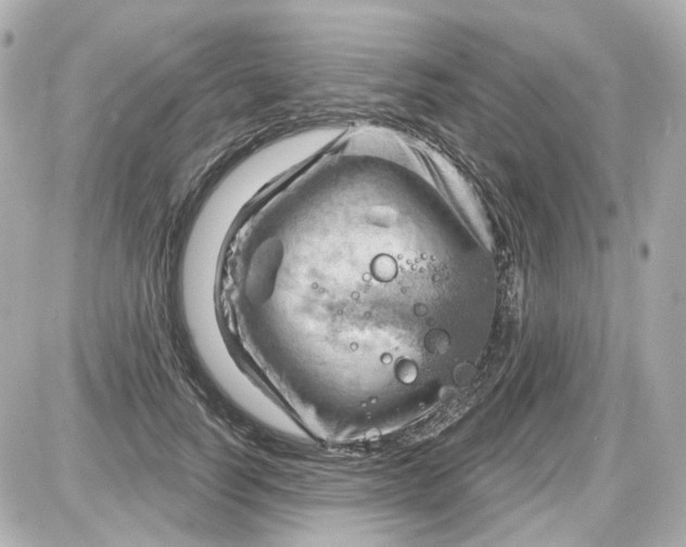 X0000087590746200705112303