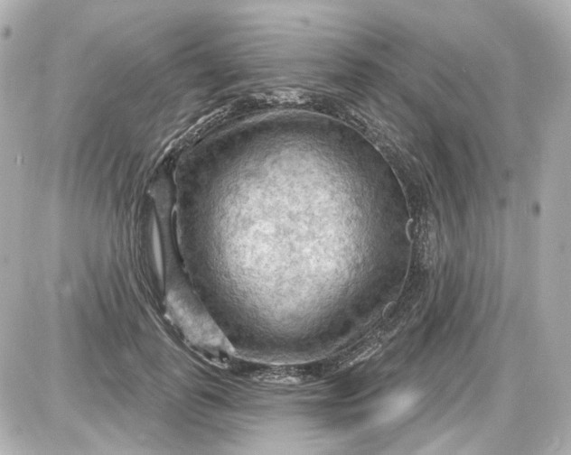 X0000087590747200705112303