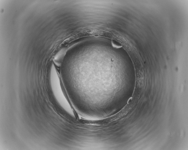 X0000087590748200705112303