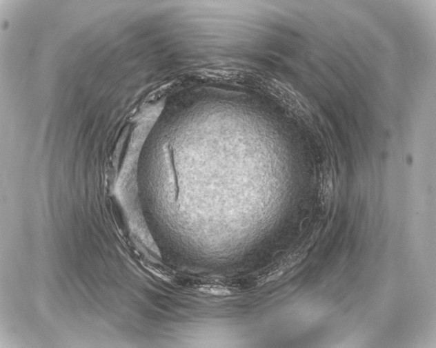 X0000087590749200705112303