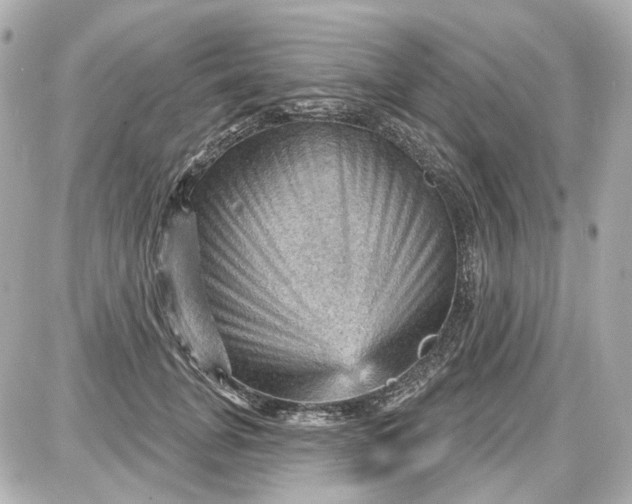 X0000087590751200705112303