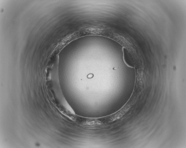 X0000087590752200705112303