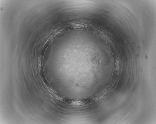 X0000087590753200705112303