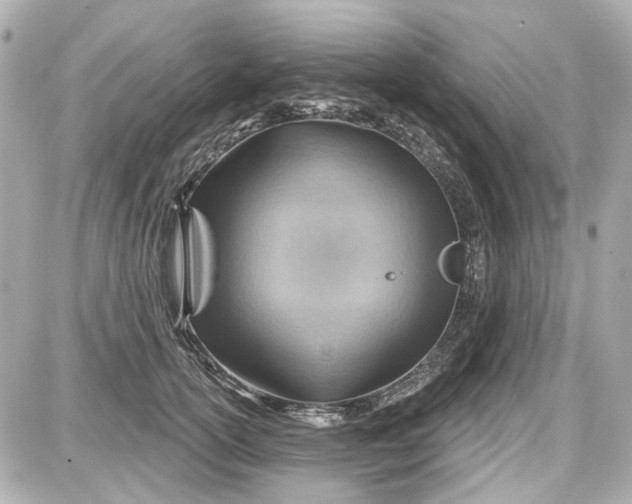 X0000087590754200705112303