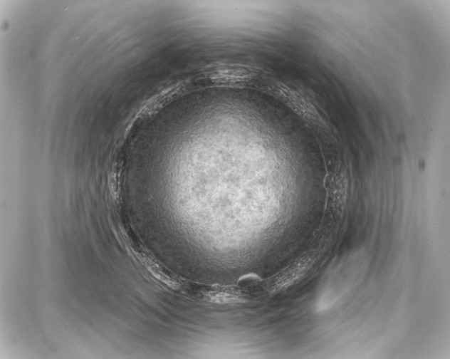 X0000087590755200705112303