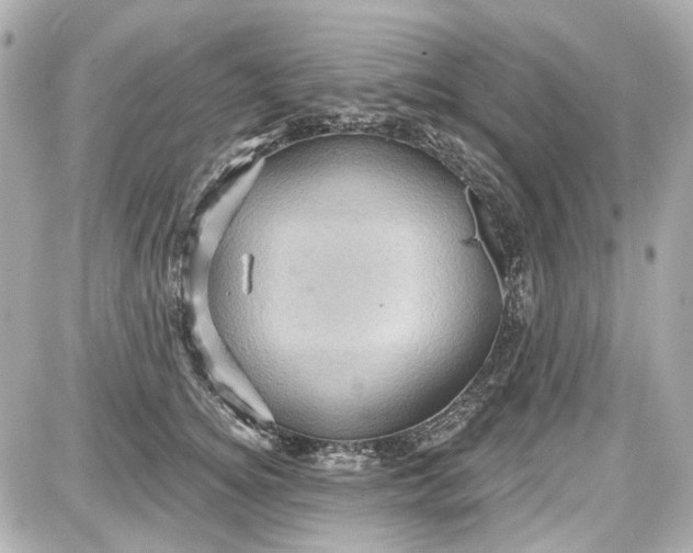 X0000087590756200705112303