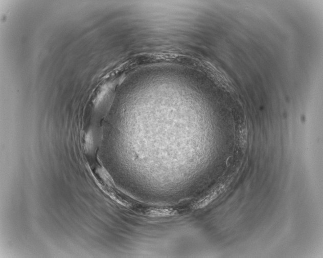 X0000087590757200705112303