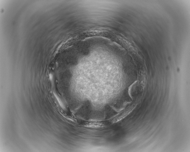 X0000087590758200705112303