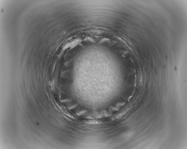 X0000087590759200705112303