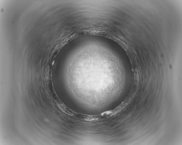 X0000087590760200705112303