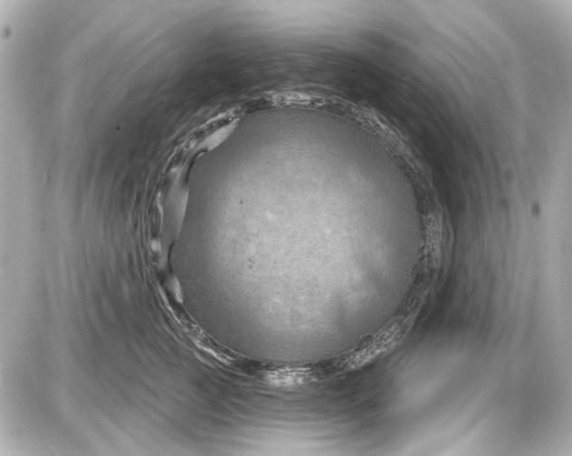 X0000087590761200705112303