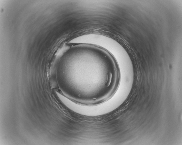 X0000087590762200705112303