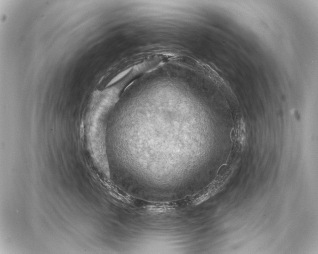 X0000087590763200705112303